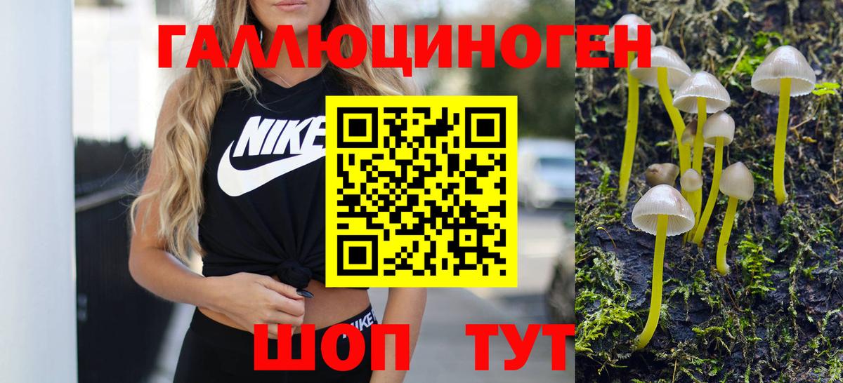 Полысаево  Псилоцибиновые грибы ЛСД  Вход с VPN  Галлюциногенные грибы мицелий 