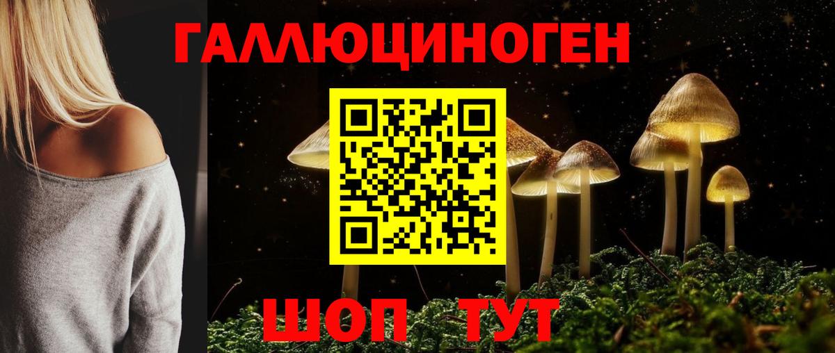 Псилоцибиновые грибы мицелий Полысаево